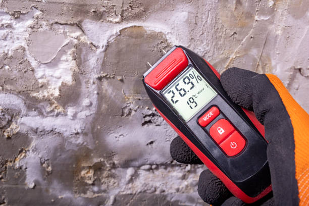 Best Insurance-Related Mold Remediation in Girard, OH